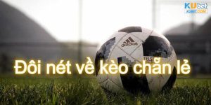 Kèo chẵn lẻ bóng đá - Chỉ dẫn cách chơi và mẹo đầu tư hay 2024